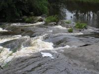 Albums/20060200-New Zealand 2006/20060313-Catlins/19